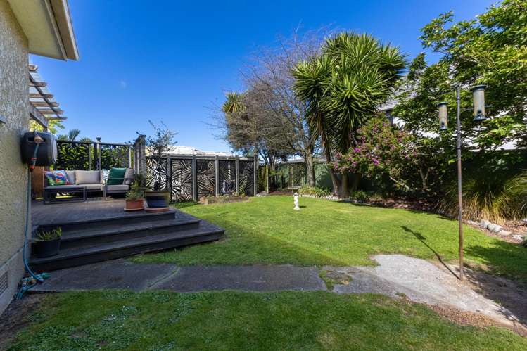 6 Puriri Terrace Roslyn_26