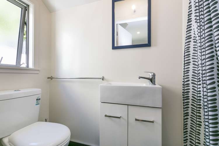 21 Boston Terrace Aro Valley_9