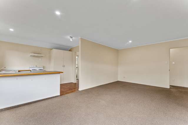 125A Muritai Street Tahunanui_4