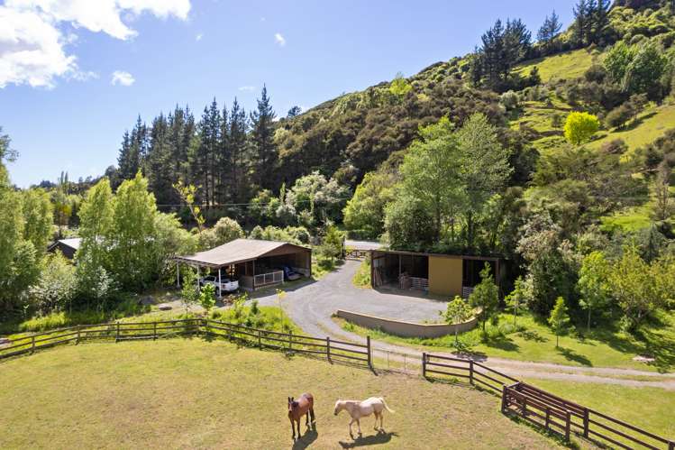 264 Lud Valley Road Hira_1