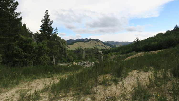 945 Taylor Pass Road Blenheim_13