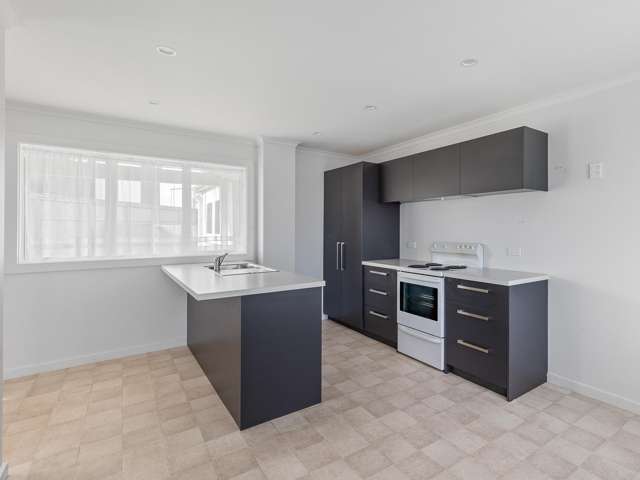 11 and 15 Mahoe Street Levin_3