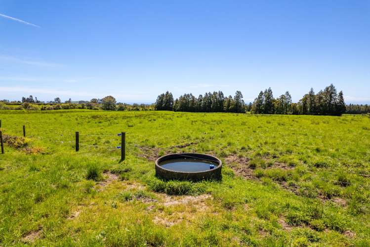 869 Dudley Road Upper Kaimiro_25