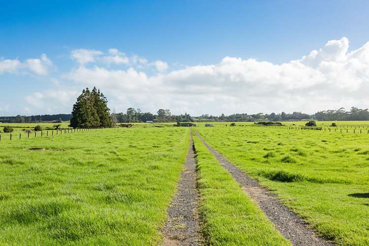 Waipapa Road Kerikeri_9