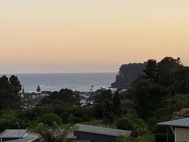 Lot 7 409 The Drive Whangamata_1