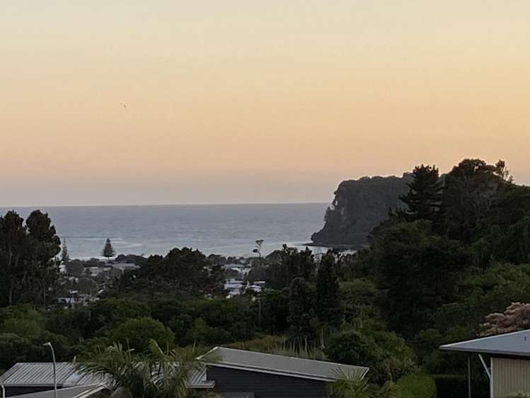 Lot 7 409 The Drive Whangamata_1