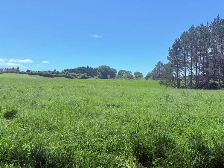 Lot 6/1409 Rangiuru Road_5