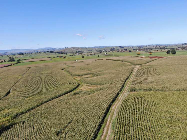 1375 State Highway 3 Otorohanga_6