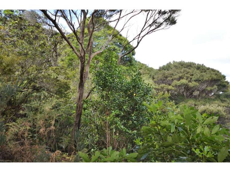 Opito Bay Road Kerikeri_12