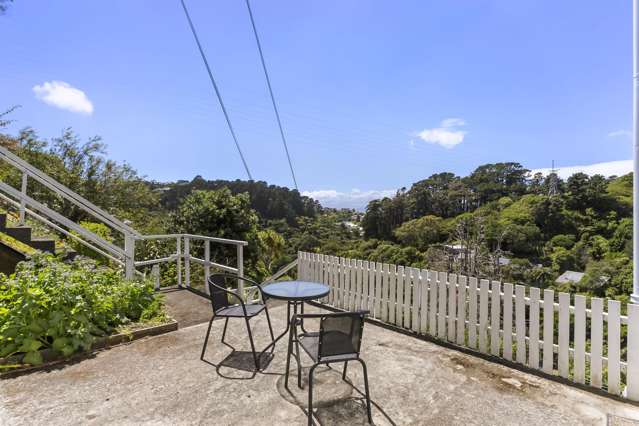 11 Mt Pleasant Road Aro Valley_4