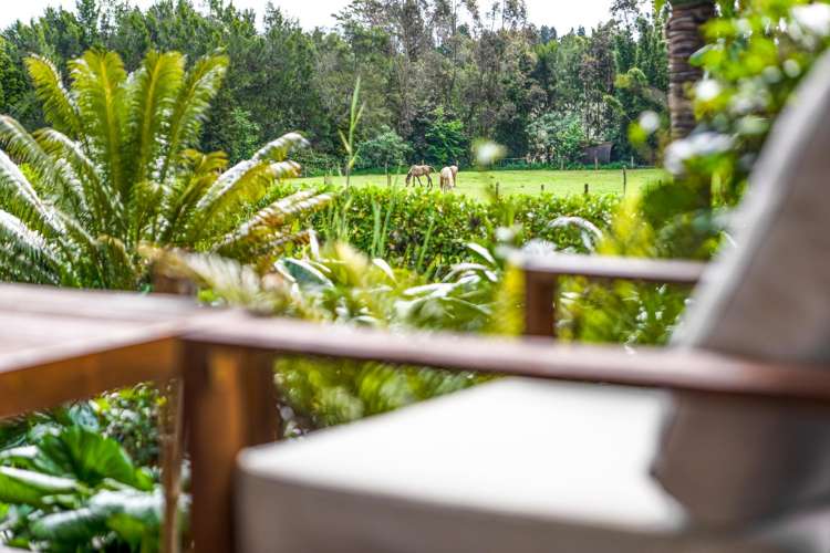 1351 State Highway 10 Kerikeri_14