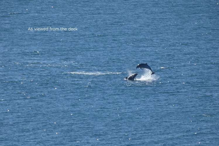 35 Rothesay Bay Road Rothesay Bay_26