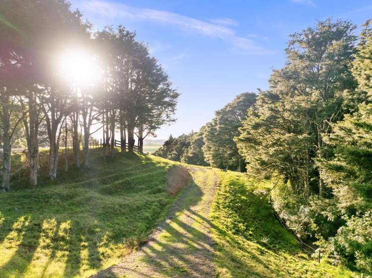 389A Crane Road Kauri_7