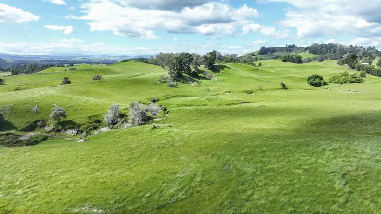 Lots 1 - 15, 2136 Taihape Road Sherenden_4