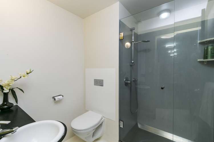 11/43 Mulgrave Street Thorndon_8