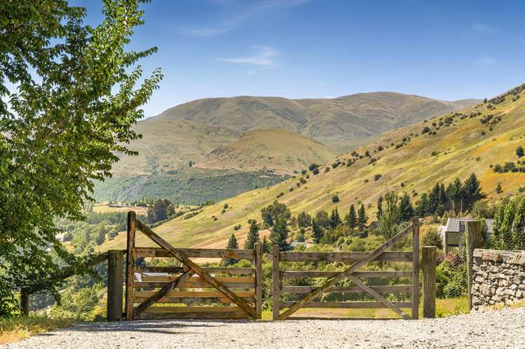 101 Jean Robins Drive Lake Hayes_9