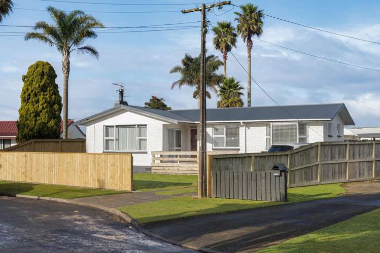 11 Totara Avenue_0