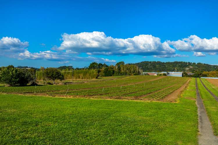 117 Mahana Road Waimauku_17