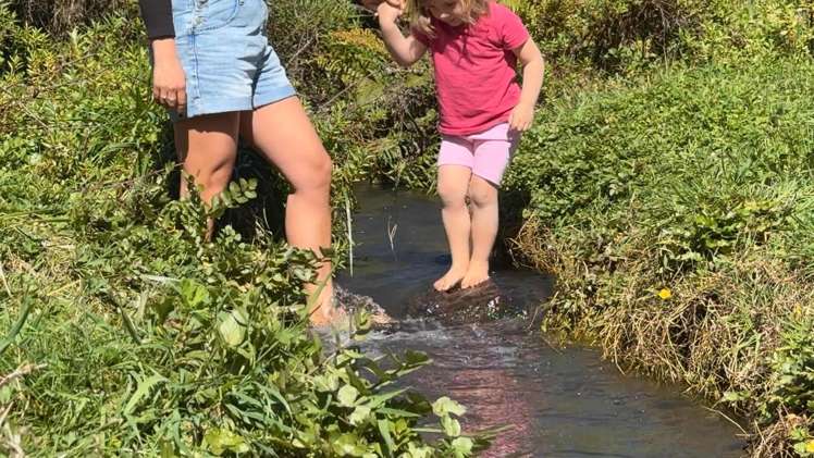 459 Wainui Road Raglan_10