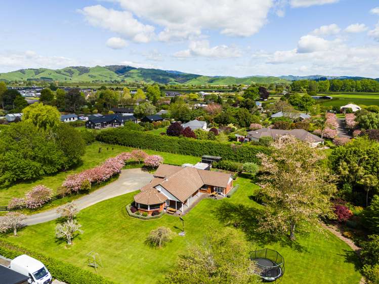 36 Roto-O-Rangi Road Cambridge_8