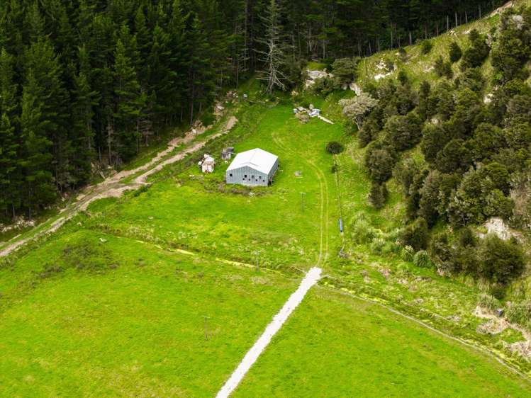 1247 Wharekopae Road Ngatapa_12