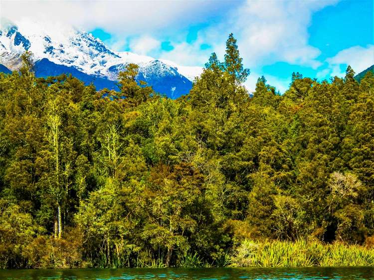 53 Porika Road Rotoroa_27