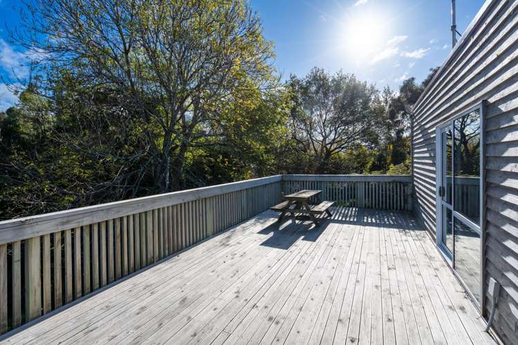 10 Ryan Street Portobello_15