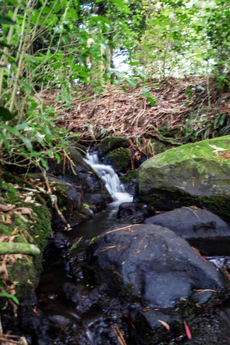 112 Jericho Road Pukekohe East_27