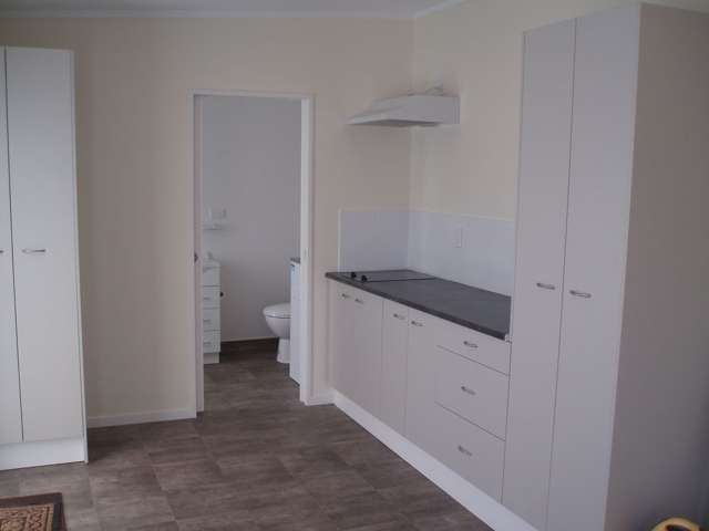 21A Constable Street Newtown_2