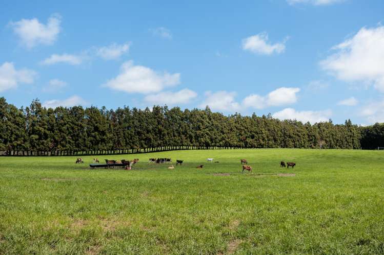 661 State Highway 27, Hinuera Okoroire_9