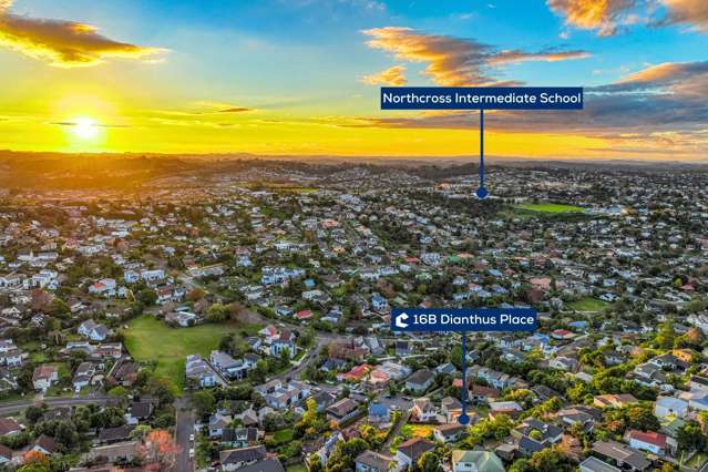 16B Dianthus Place Browns Bay_3