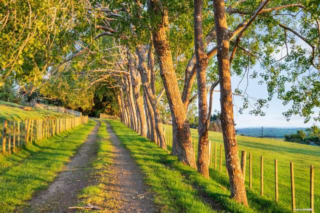 287 Wairamarama Onewhero Road Onewhero_4