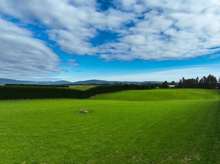 318 Waipango Ermedale Road Gummies Bush_8