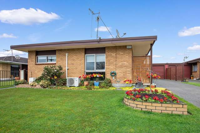 11 David Street Morrinsville_1