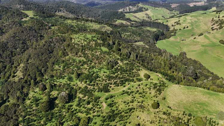30C Te Ranga Road Kaeo_34