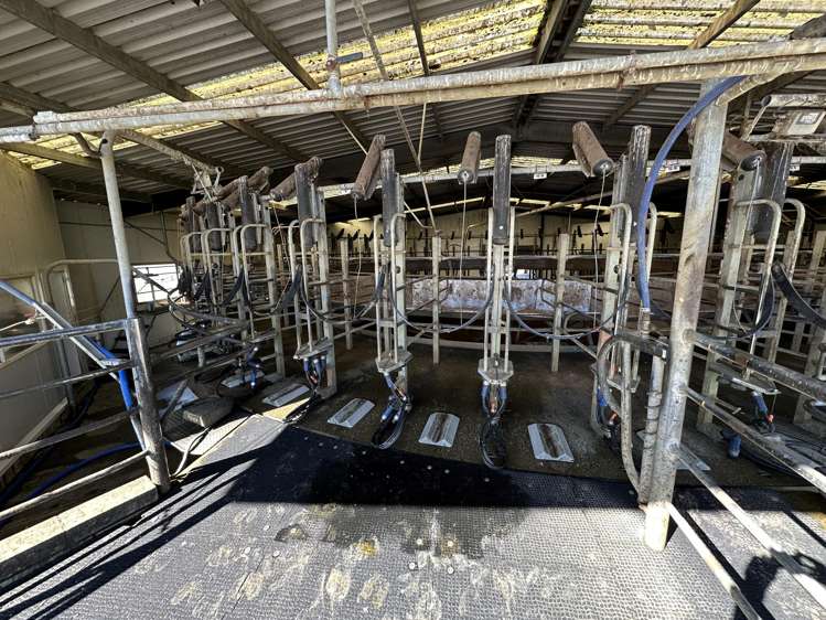 142 Endowment Road Winton Surrounds_4