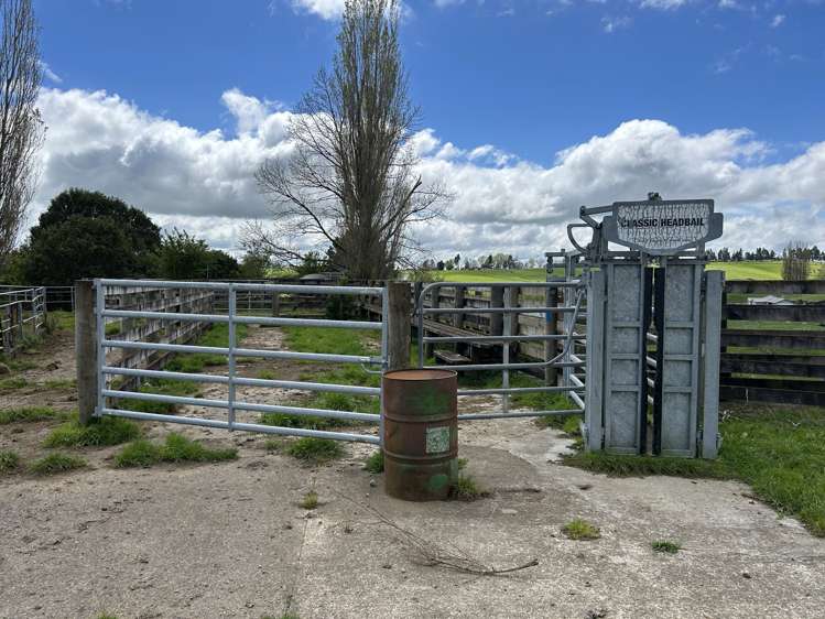 356 Lurman Road Otorohanga_7