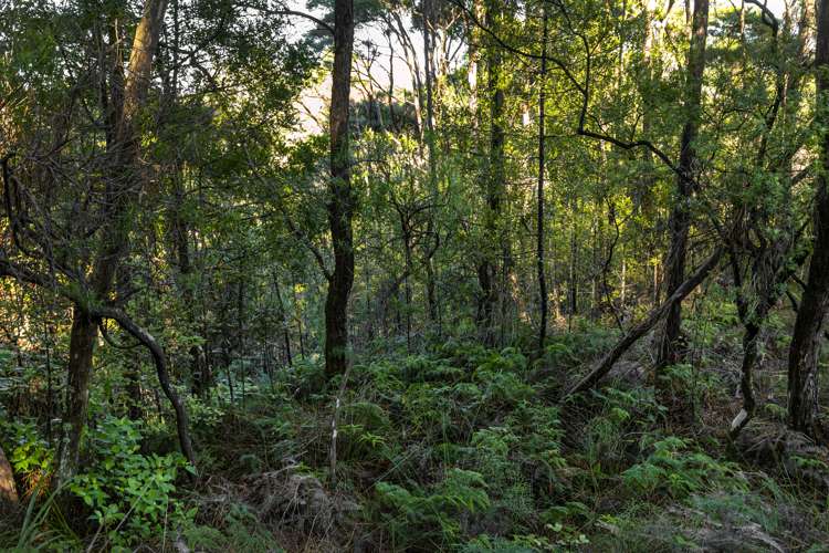 7 Trig Station Rise Paremoremo_5