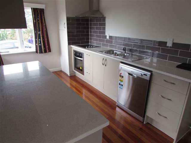 470 Hillsborough Road Mount Roskill_1