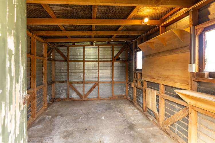 8 Page Street Redwoodtown_20