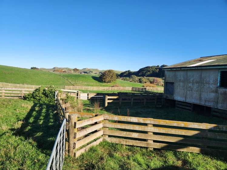899 Te Akau Road Te Akau_10
