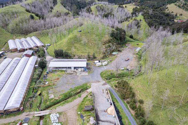 878 Russell Road Whakapara_2