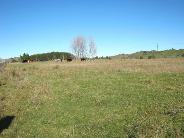 Kawautahi Road Owhango_1