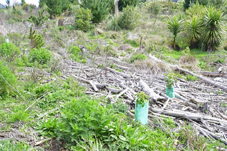 960 Oneriri Road Kaiwaka_10