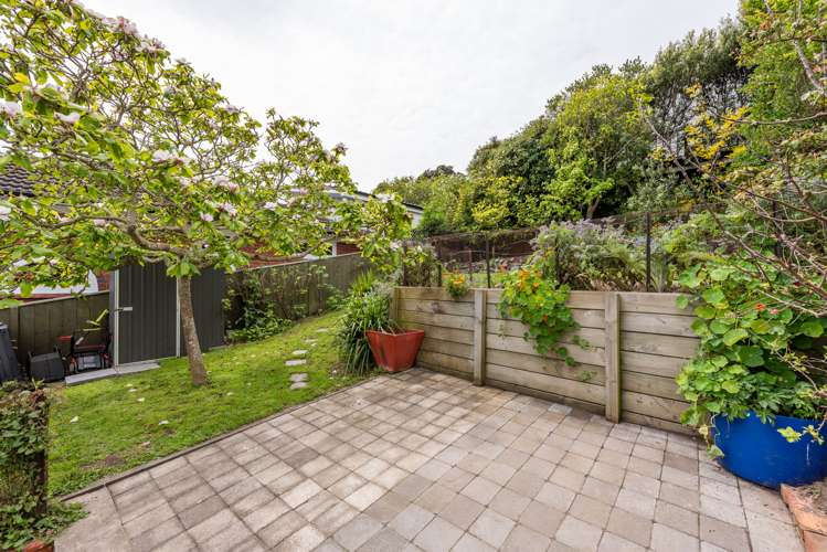 531 Adelaide Road Berhampore_14