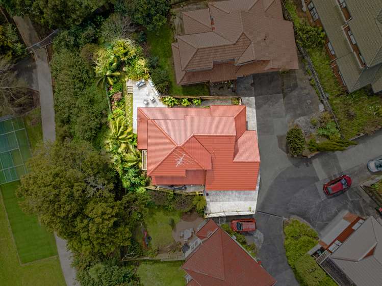 441g Dominion Road Mount Eden_18