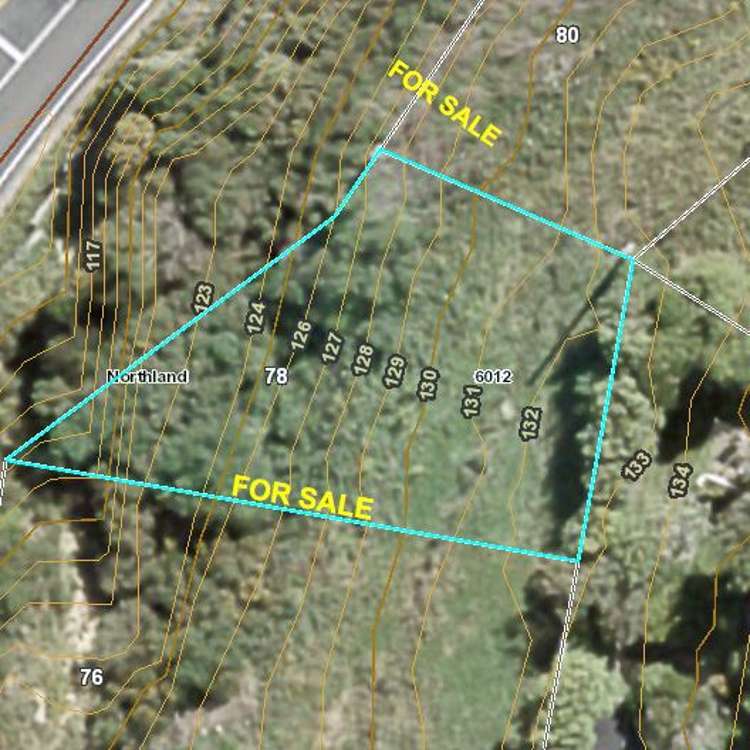 78 Curtis Street Northland_5