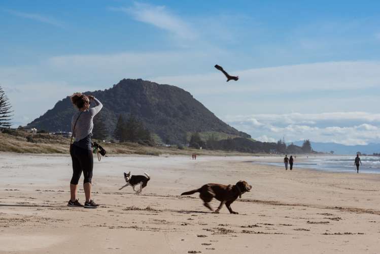 21/281 Maunganui Road Mount Maunganui_18