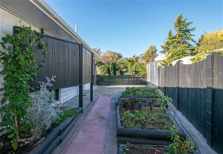 17 Mountain View Road Witherlea_19