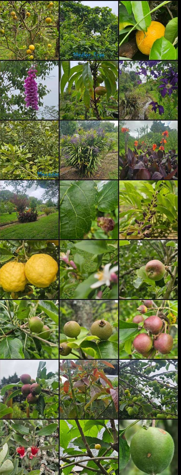 180 Kimberley Road Levin_25